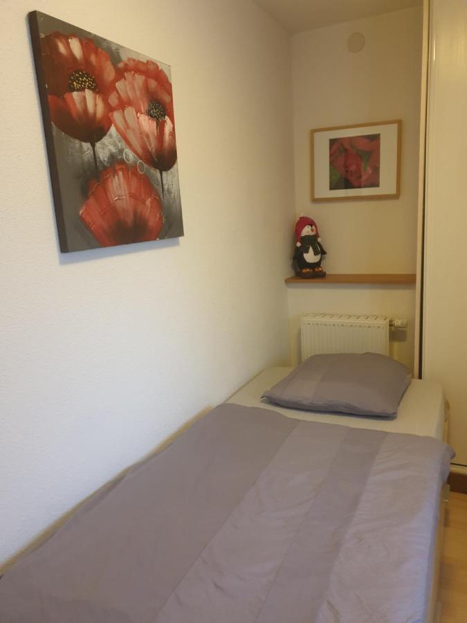 Appartement Proche D'Europa Park/Marches De Noel Rhinau Eksteriør bilde