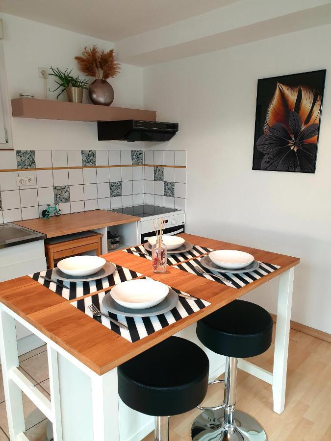 Appartement Proche D'Europa Park/Marches De Noel Rhinau Eksteriør bilde