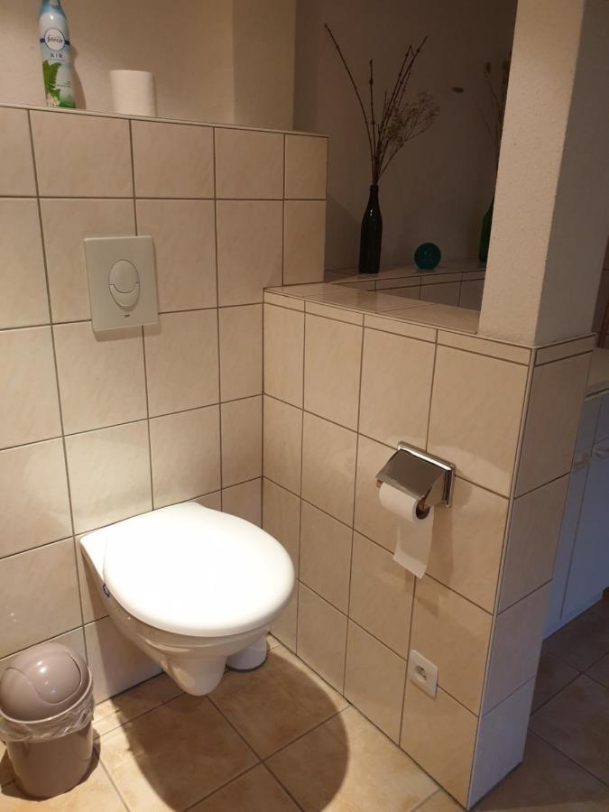 Appartement Proche D'Europa Park/Marches De Noel Rhinau Eksteriør bilde