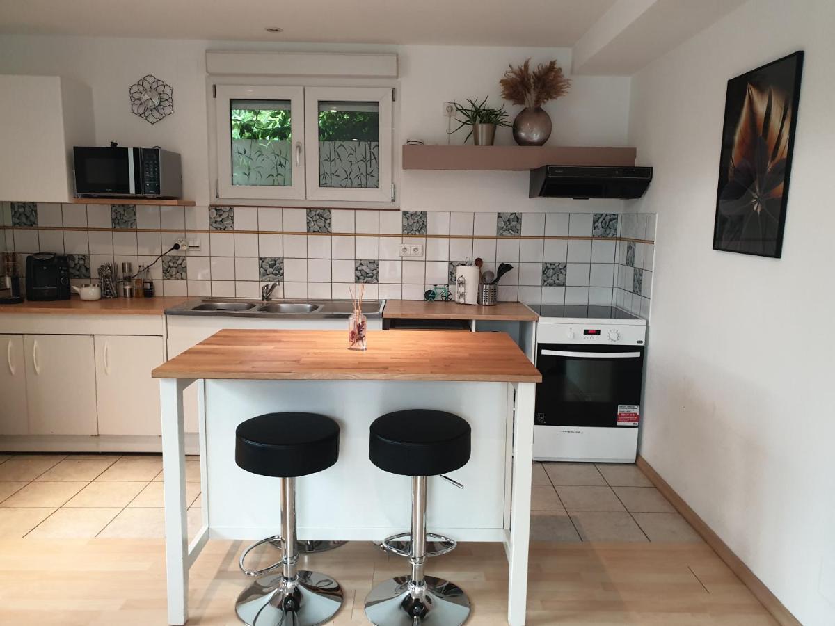 Appartement Proche D'Europa Park/Marches De Noel Rhinau Eksteriør bilde