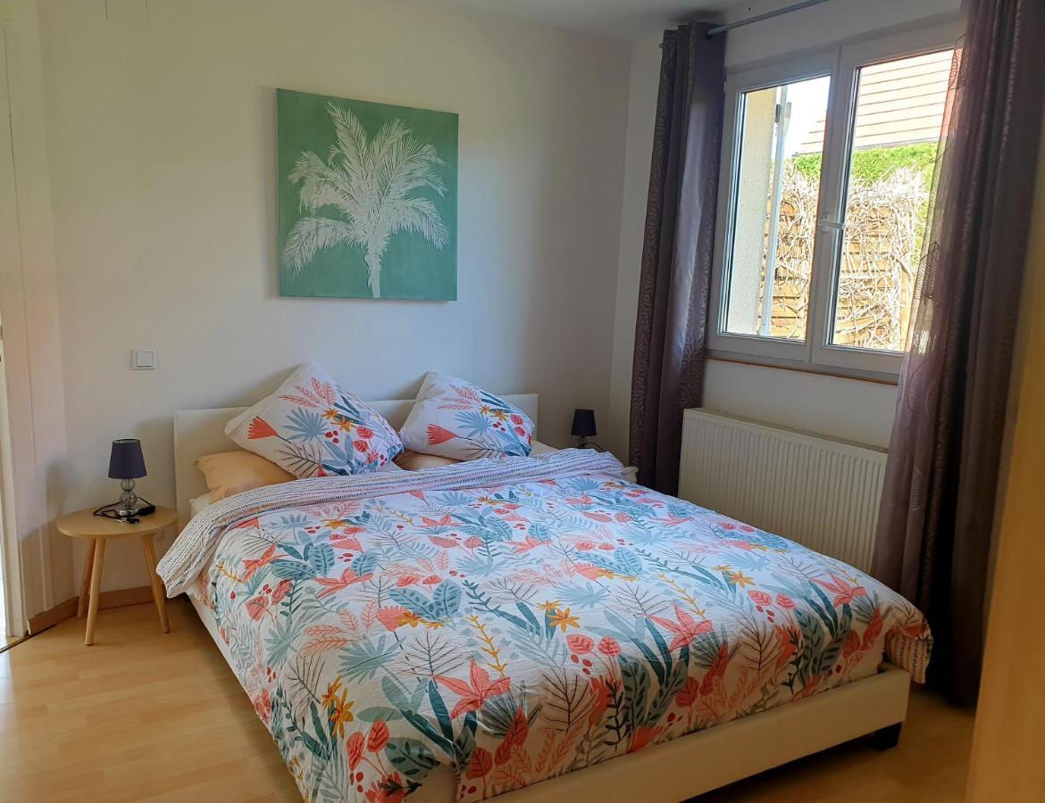 Appartement Proche D'Europa Park/Marches De Noel Rhinau Eksteriør bilde